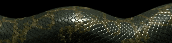 giphy snake.gif