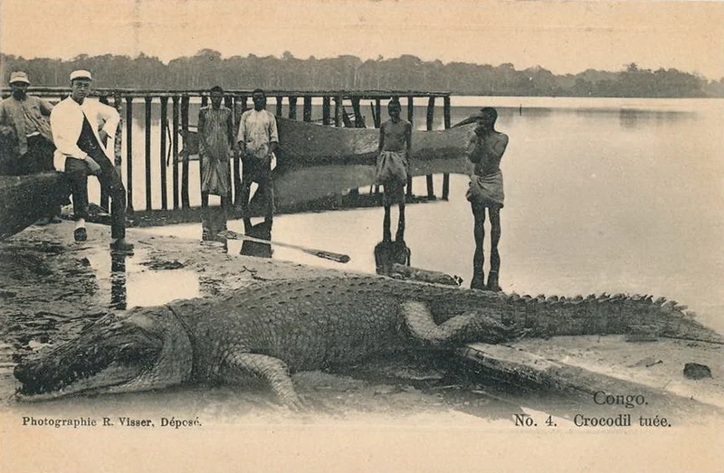 nude croc.jpg