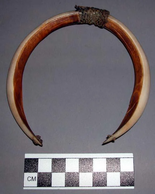 Pendant of carved ivory crescents bound at center with leather and reptile skin. Cameroon (Bafia).