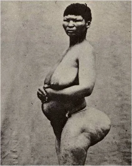 steatopygia.jpg