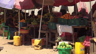 sOUTH 4.gif