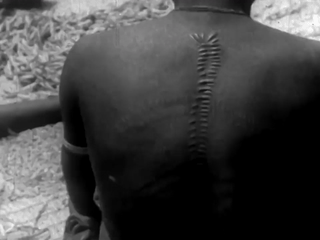 aFRICA TRAVEL 45.gif