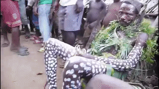 new tribe.gif