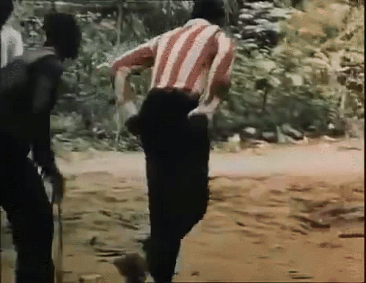 haukas 1.gif