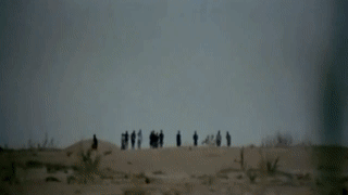 experience 1.gif
