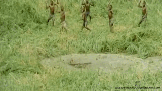 hunting 3.gif