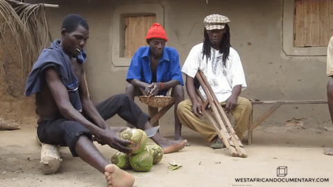 Togo village coconuts 4.gif