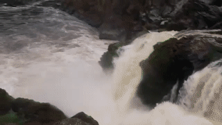The upper Dja river, a remote area in west central Africa.