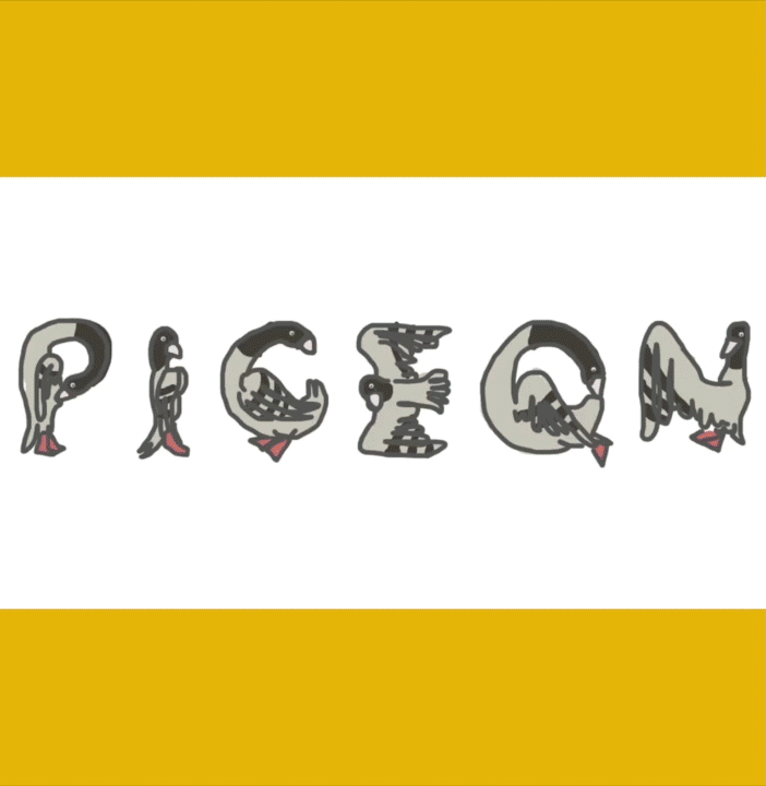pigeonpizzagif.gif