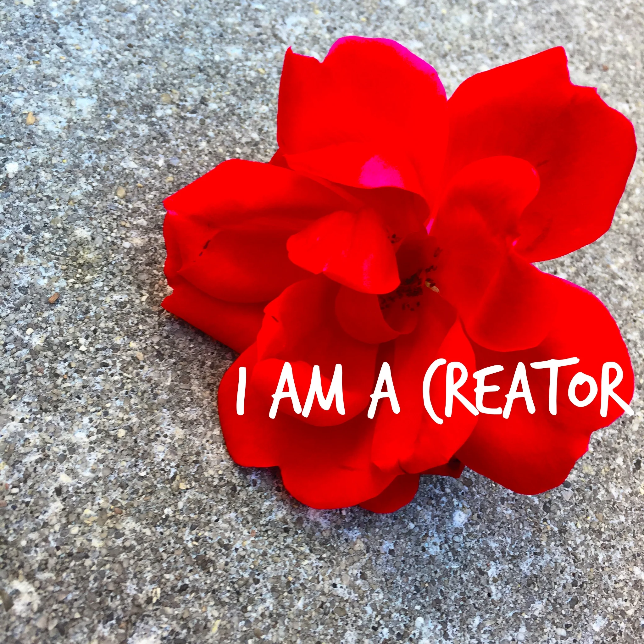 Create Growth