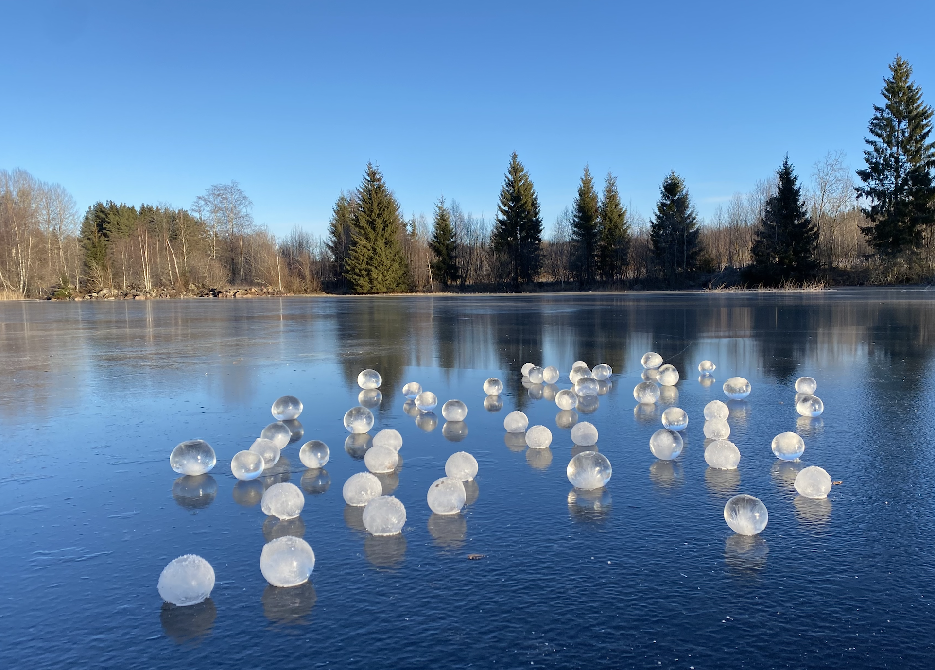 Screenshot 2026-02-01 at 5.16.09 pm.png