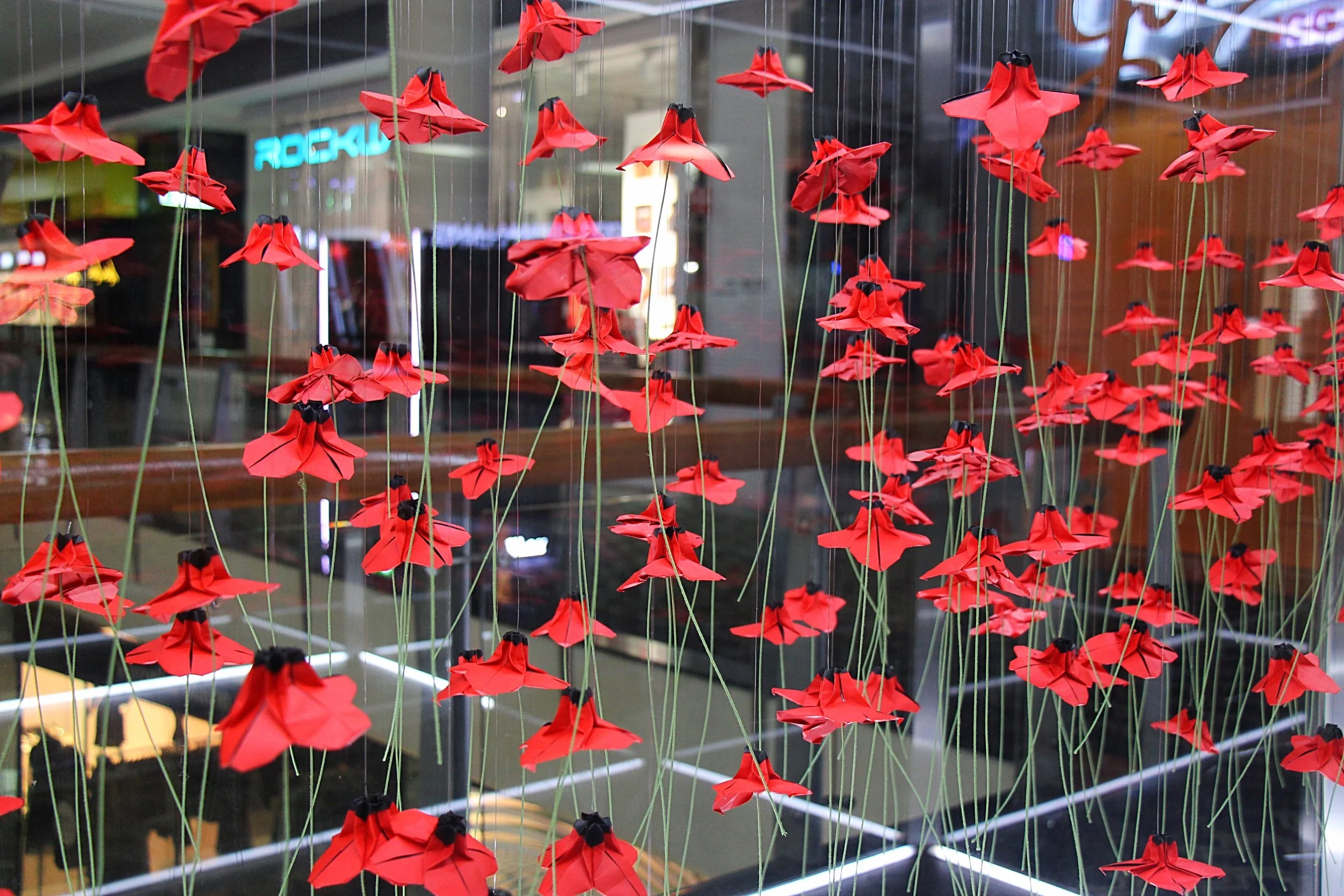 200 Anzac Day Poppies Installation for Westfield Carindale