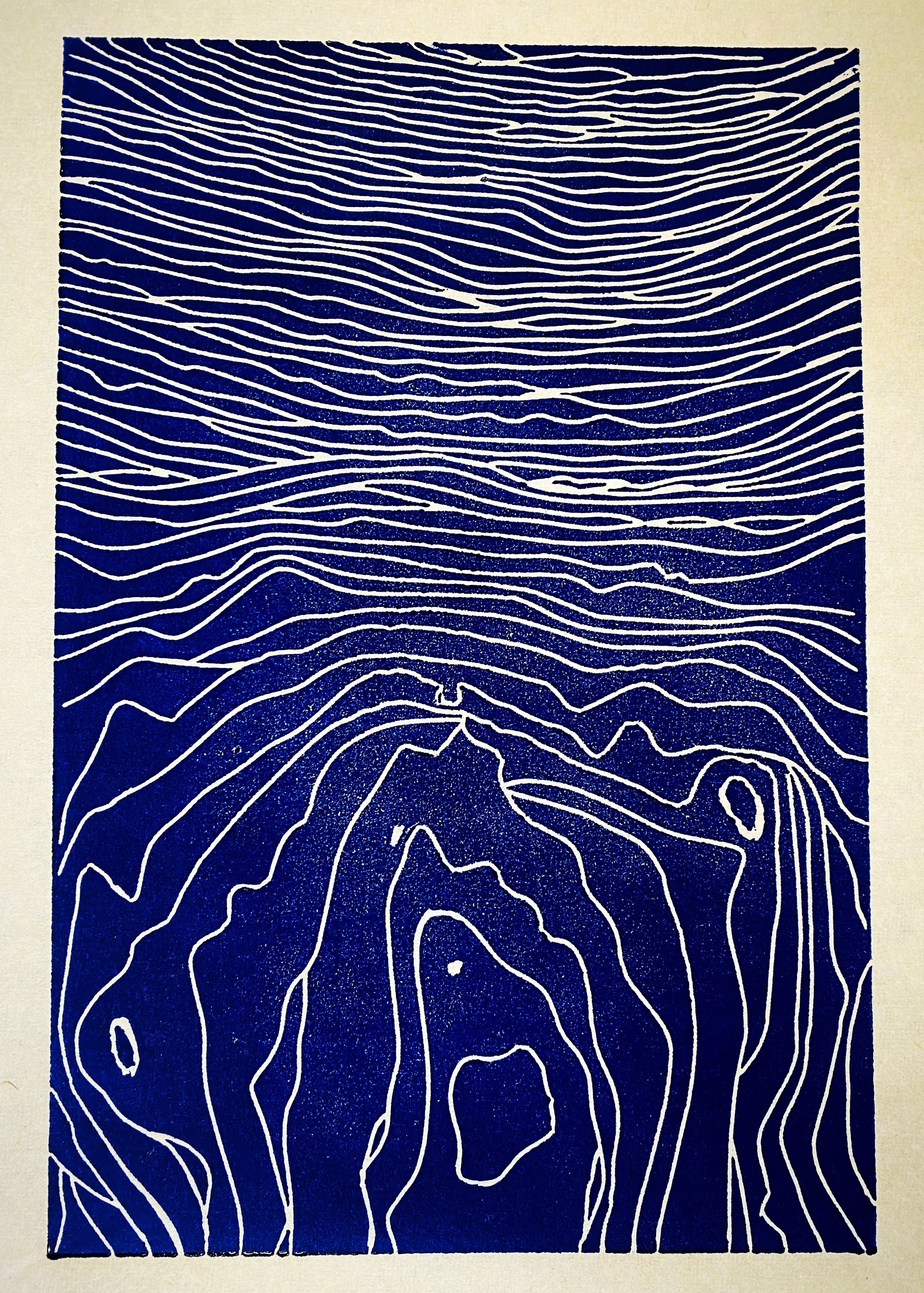 Cuttlefish topography (vinyl cut with oil based ink)