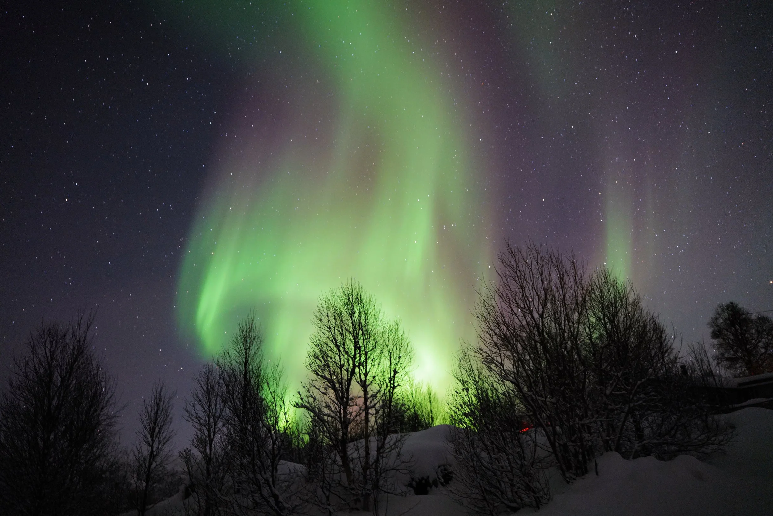 'nordlys 1' my northern lights photography near Trømso, Norway 12/23