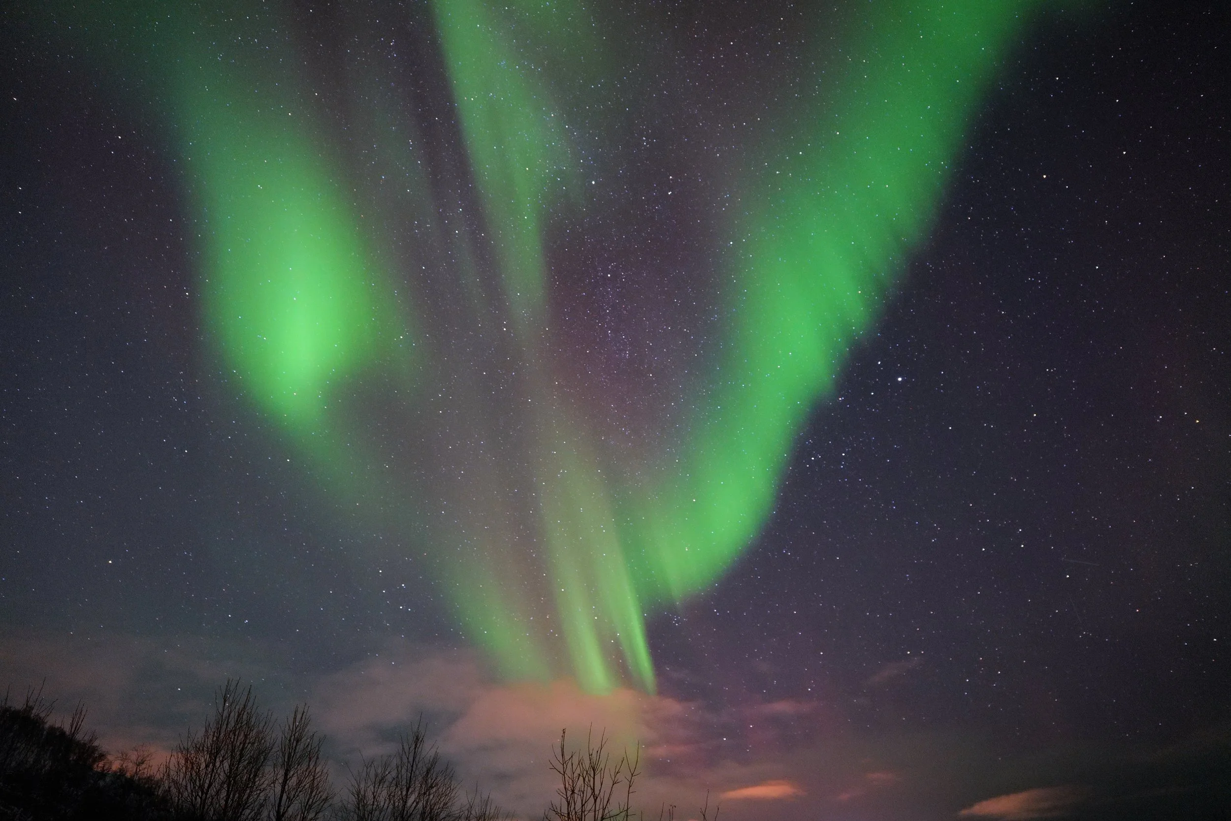 'nordlys 5' my northern lights photography near Trømso, Norway 12/23