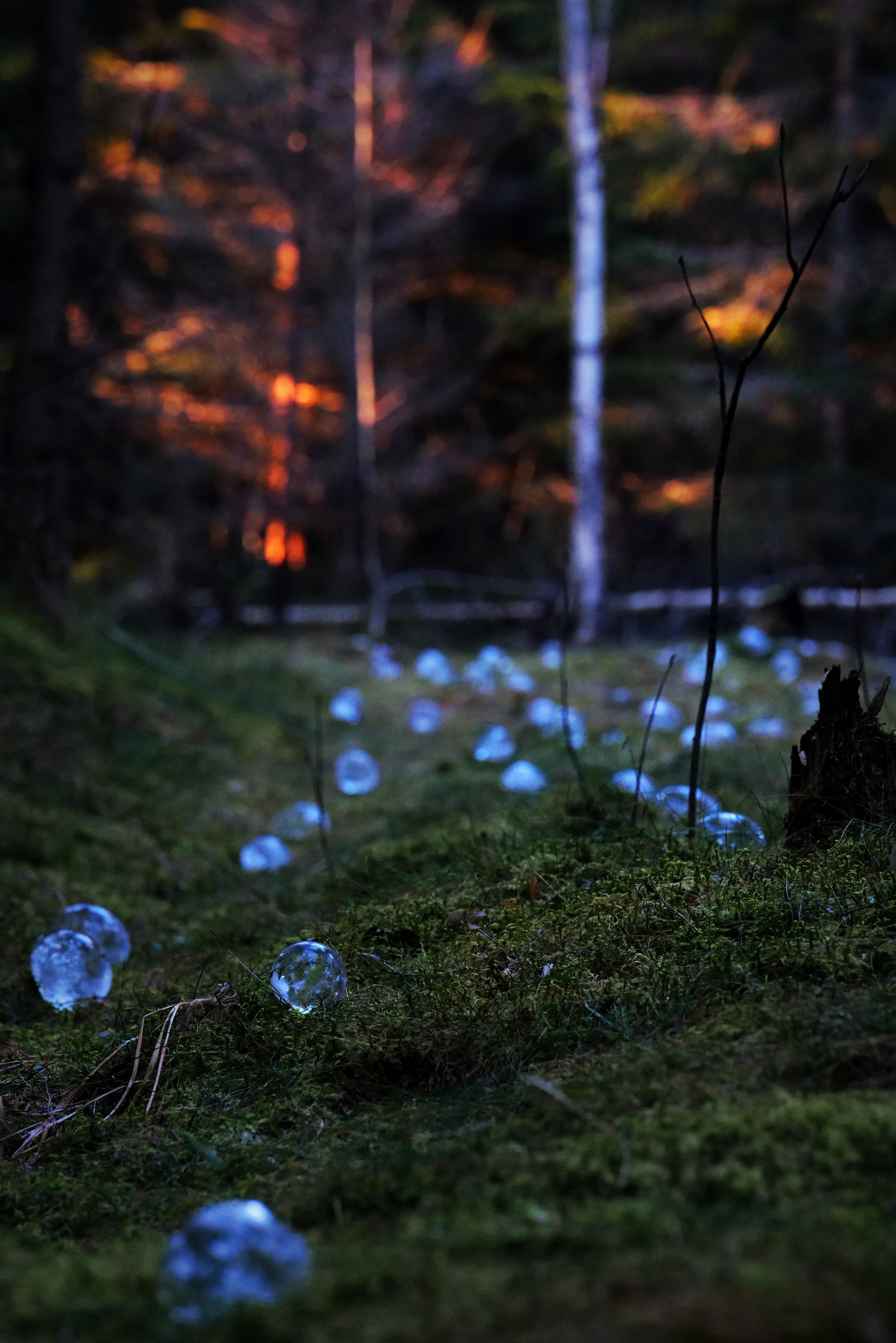 'skogens tårer' land art installation - Finnskogen, Austmarka, Norway 12/23