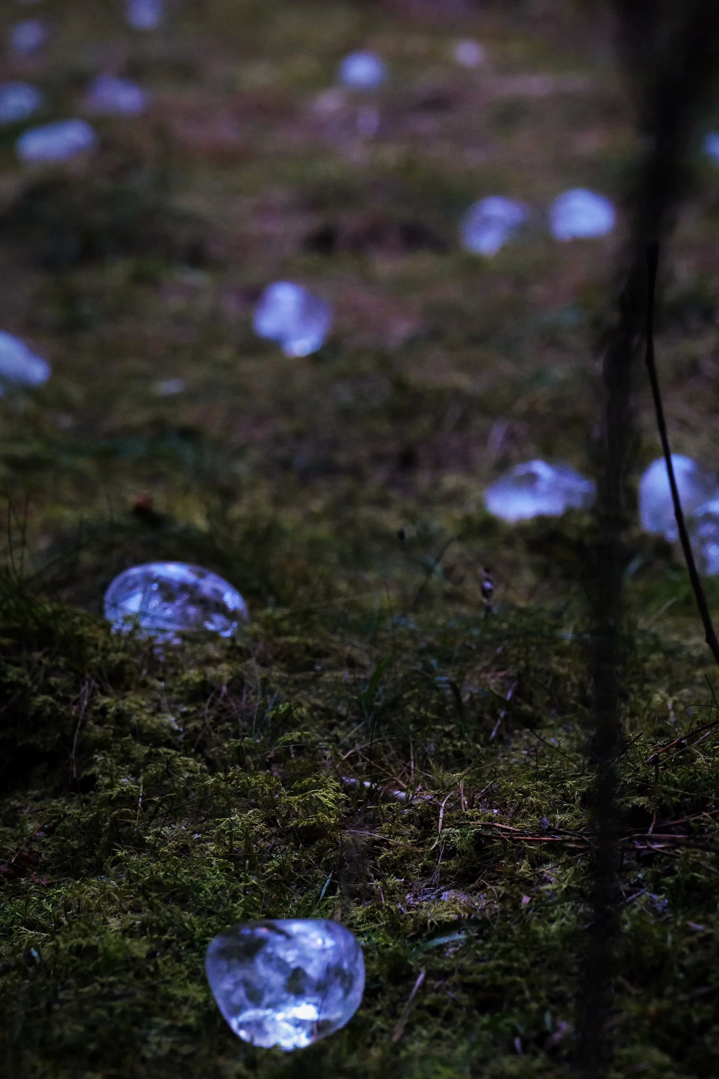 'skogens tårer' land art installation - Finnskogen, Austmarka, Norway 12/23