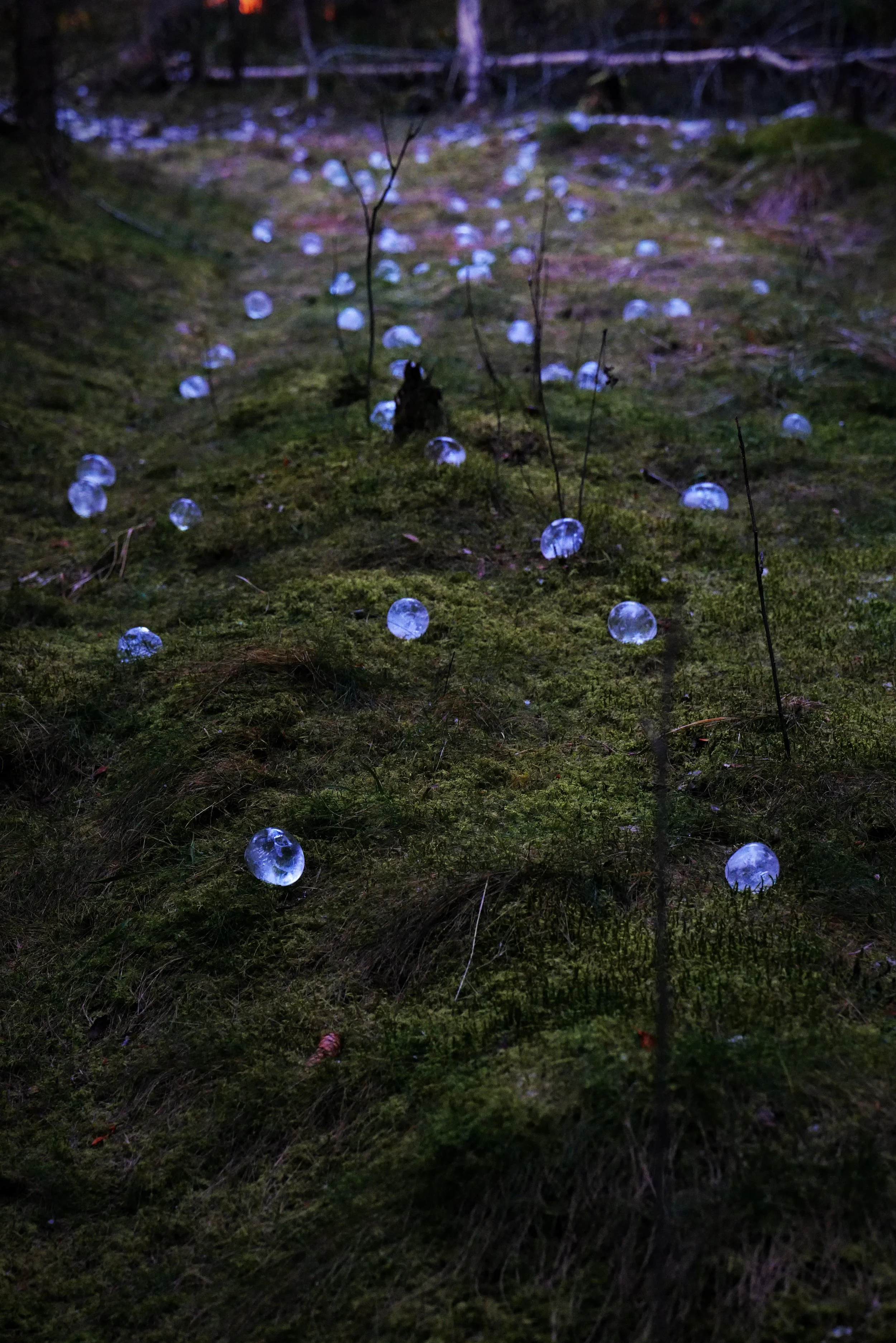 'skogens tårer' land art installation - Finnskogen, Austmarka, Norway 12/23