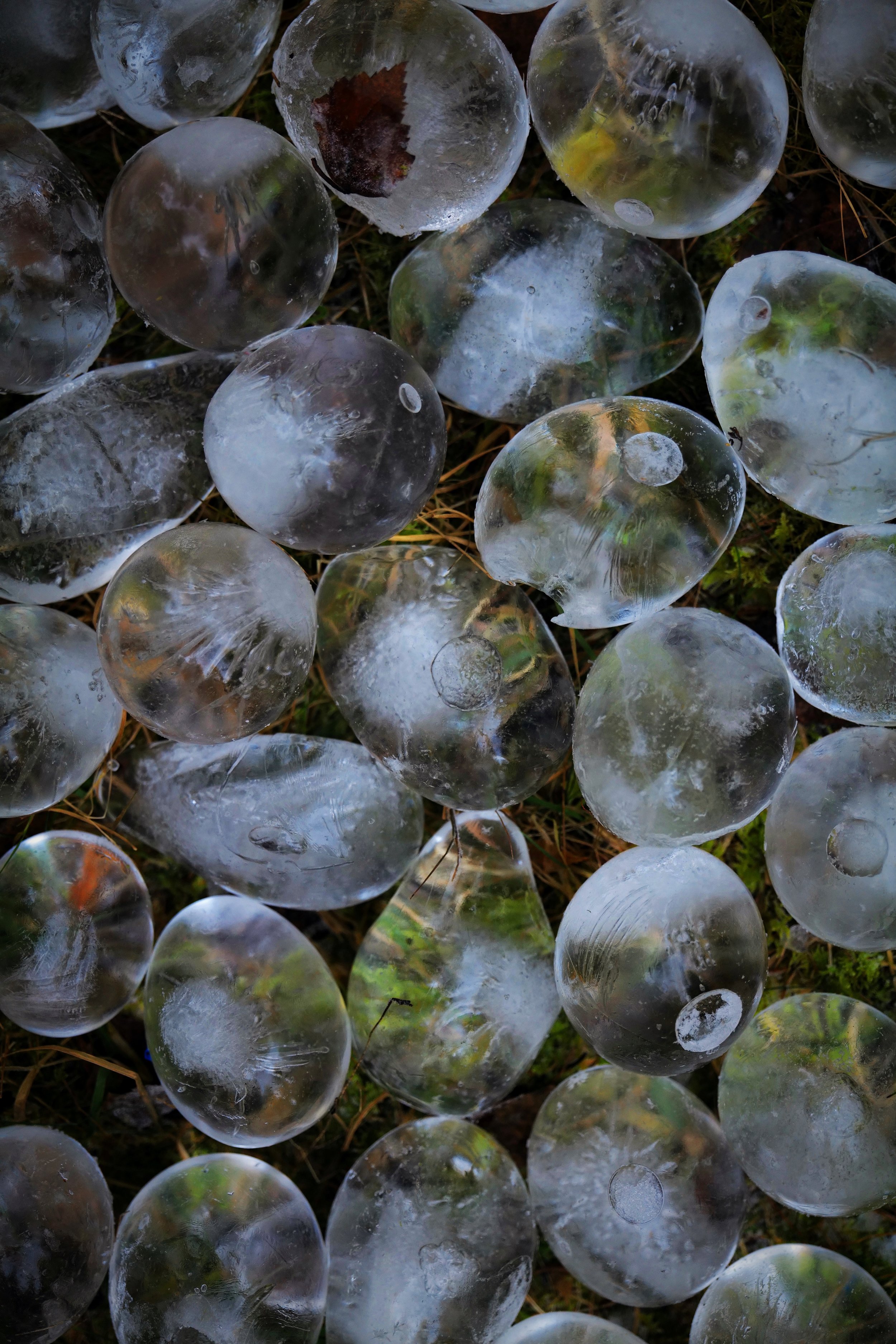 'skogens tårer' land art installation - Finnskogen, Austmarka, Norway 12/23