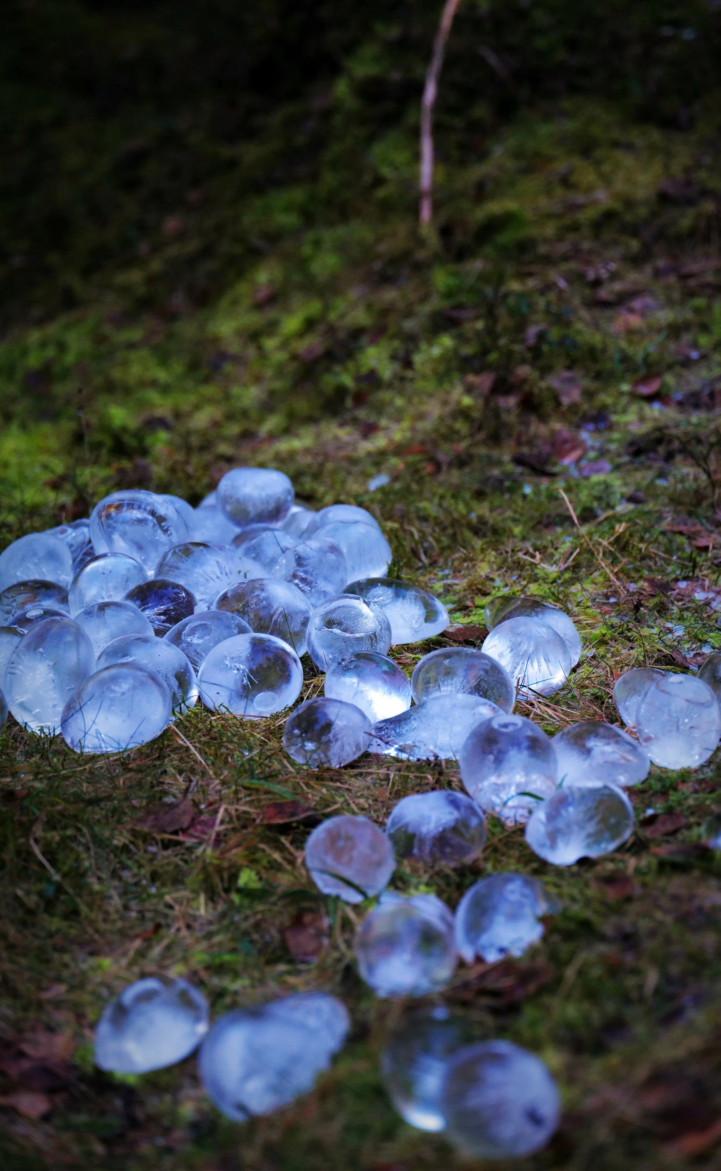 'skogens tårer' land art installation - Finnskogen, Austmarka, Norway 12/23