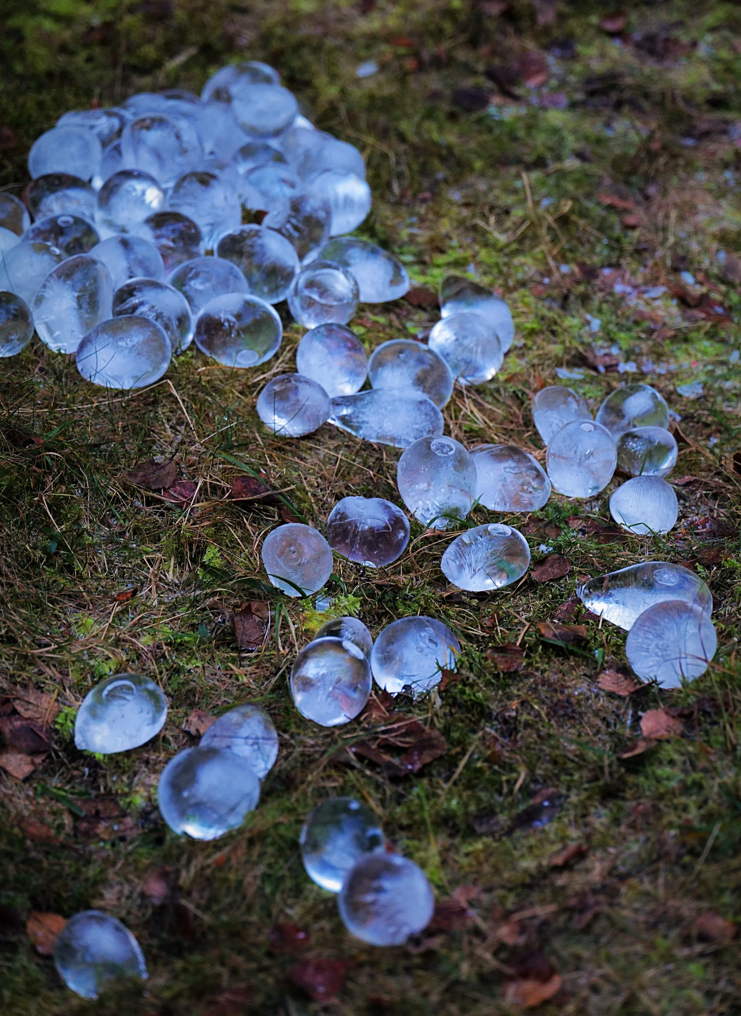 'skogens tårer' land art installation - Finnskogen, Austmarka, Norway 12/23