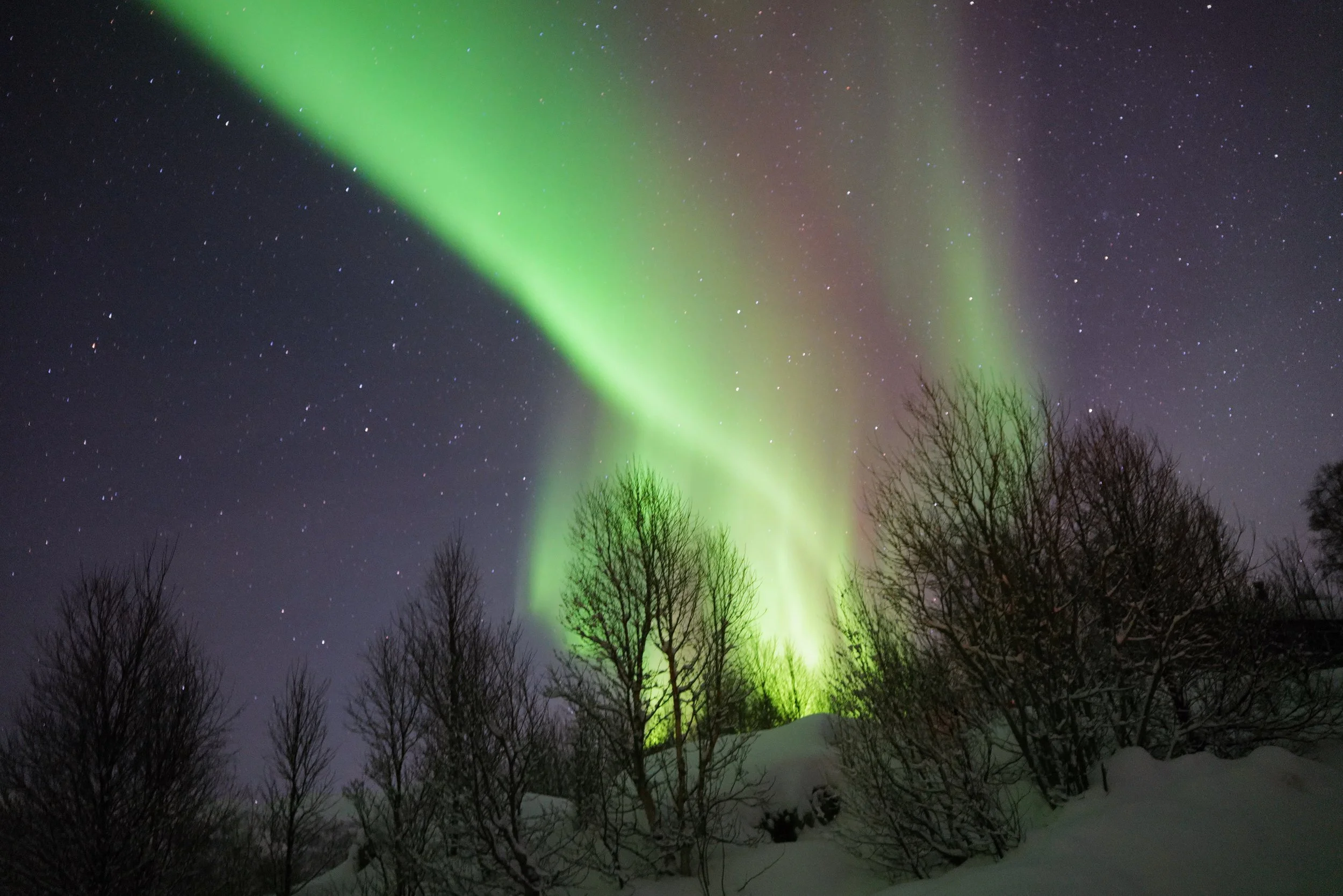 'nordlys 2' - my northern lights photography near Trømso, Norway 12/23