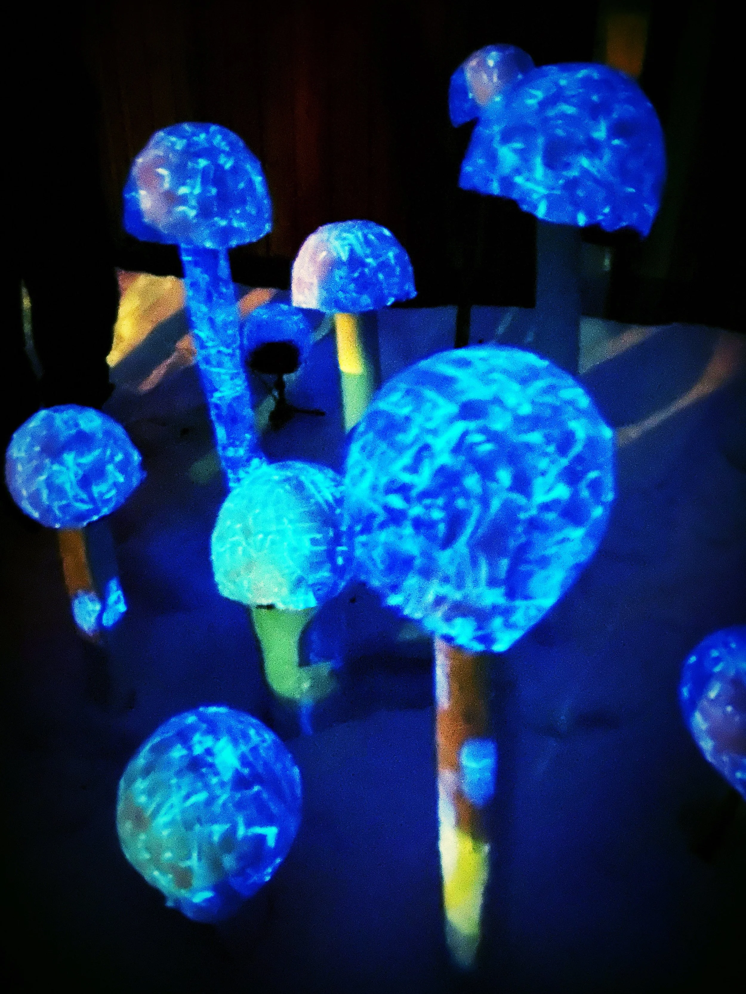'Magic Mushrooms' (UV Glow by Night) sculptural installation (waxed cloth, wire, plaster & acrylics) Arteles Residency, Finland February 2024