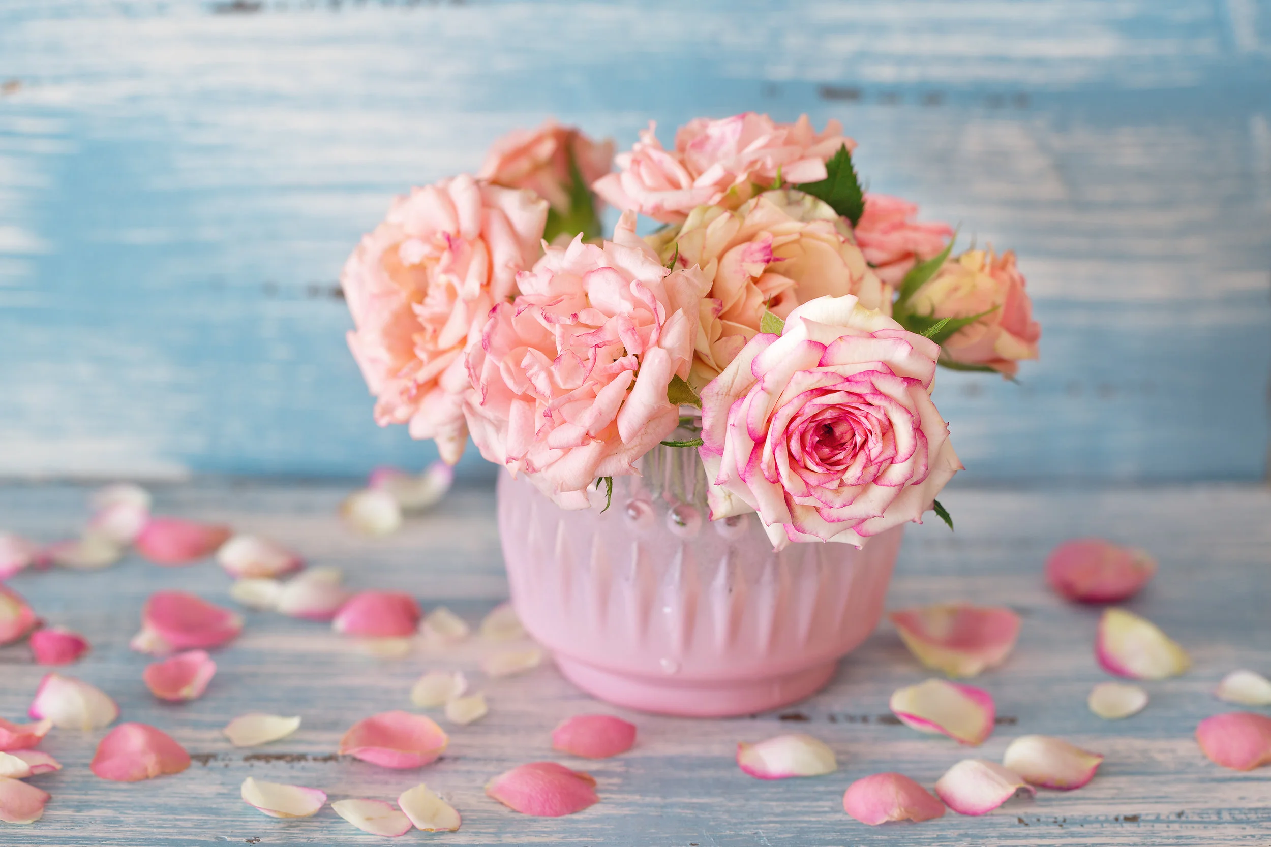 AdobeStock_91240041.jpeg
