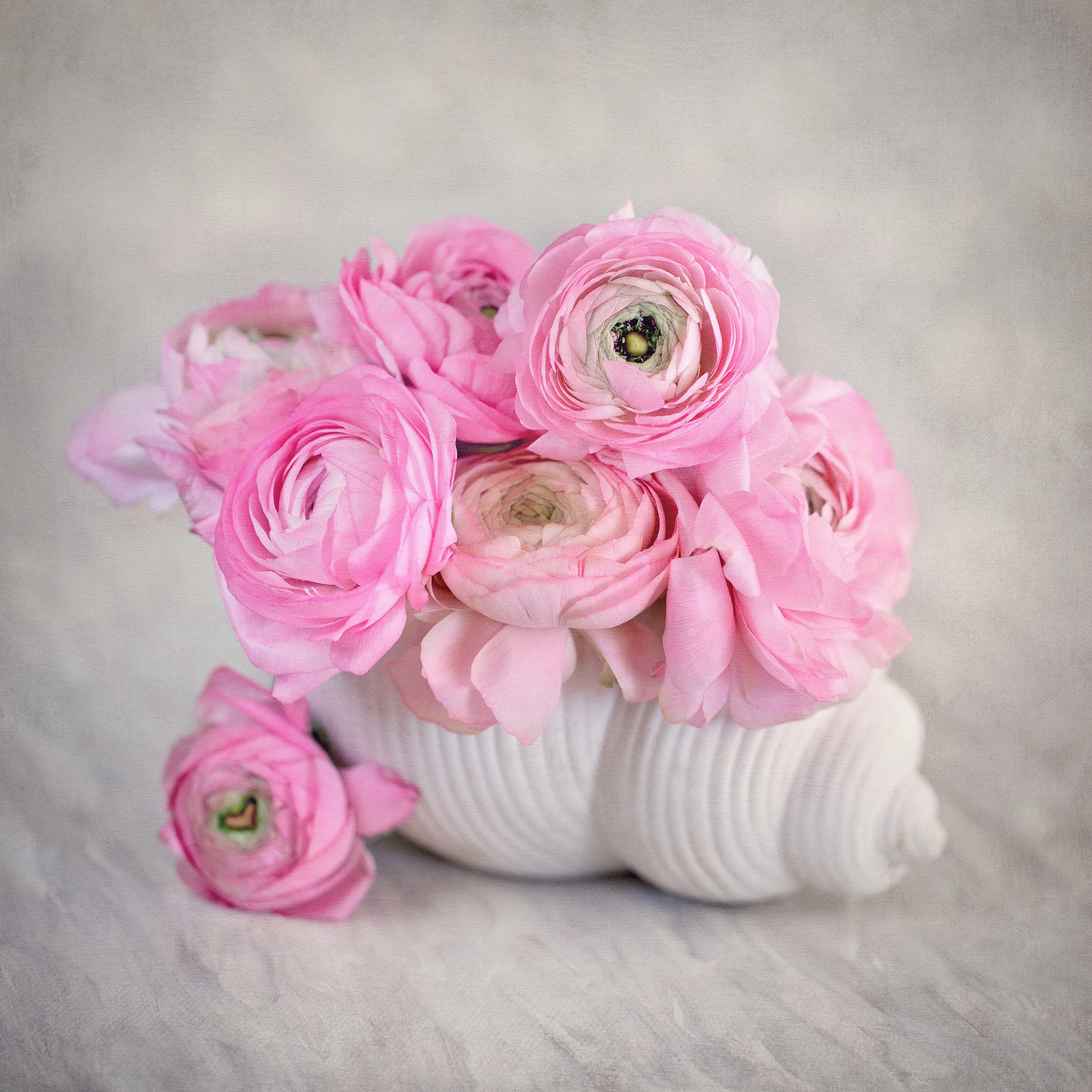 AdobeStock_191396936.jpeg