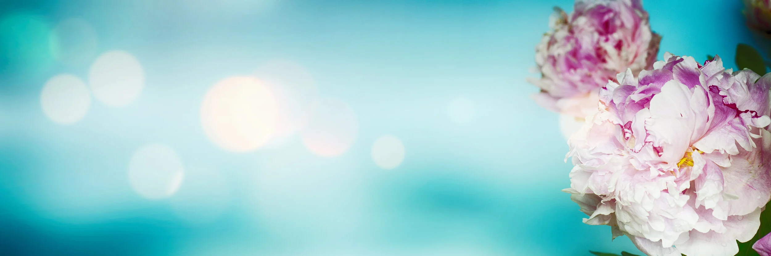 AdobeStock_329108744.jpeg