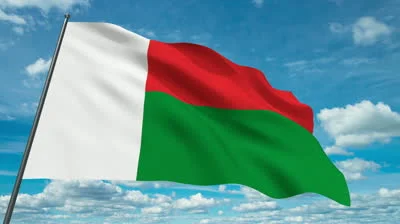 Malagasy Flag 