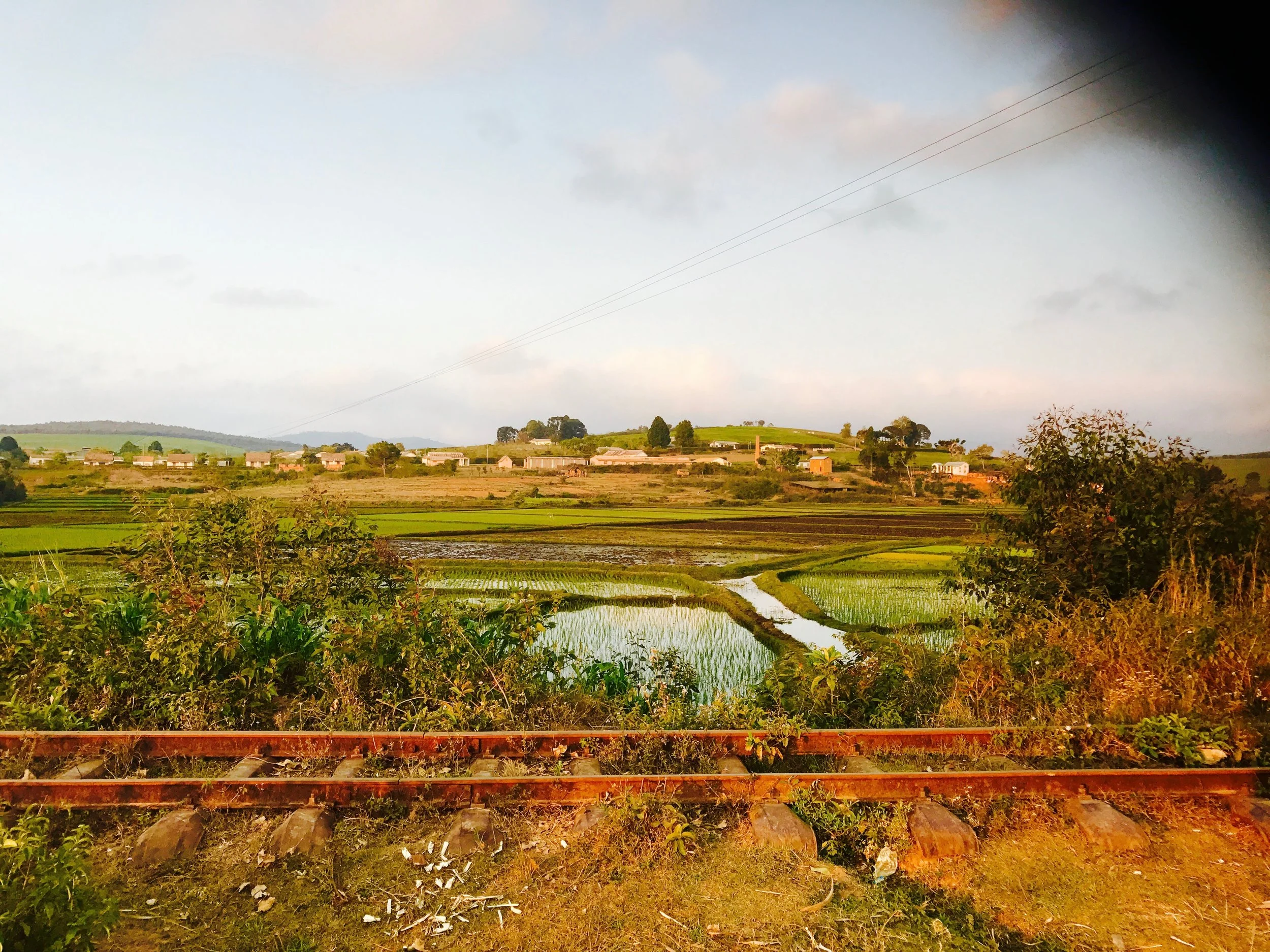 Train Tacks & Rice Fields. Photo by Jennifer Manzanillo 
