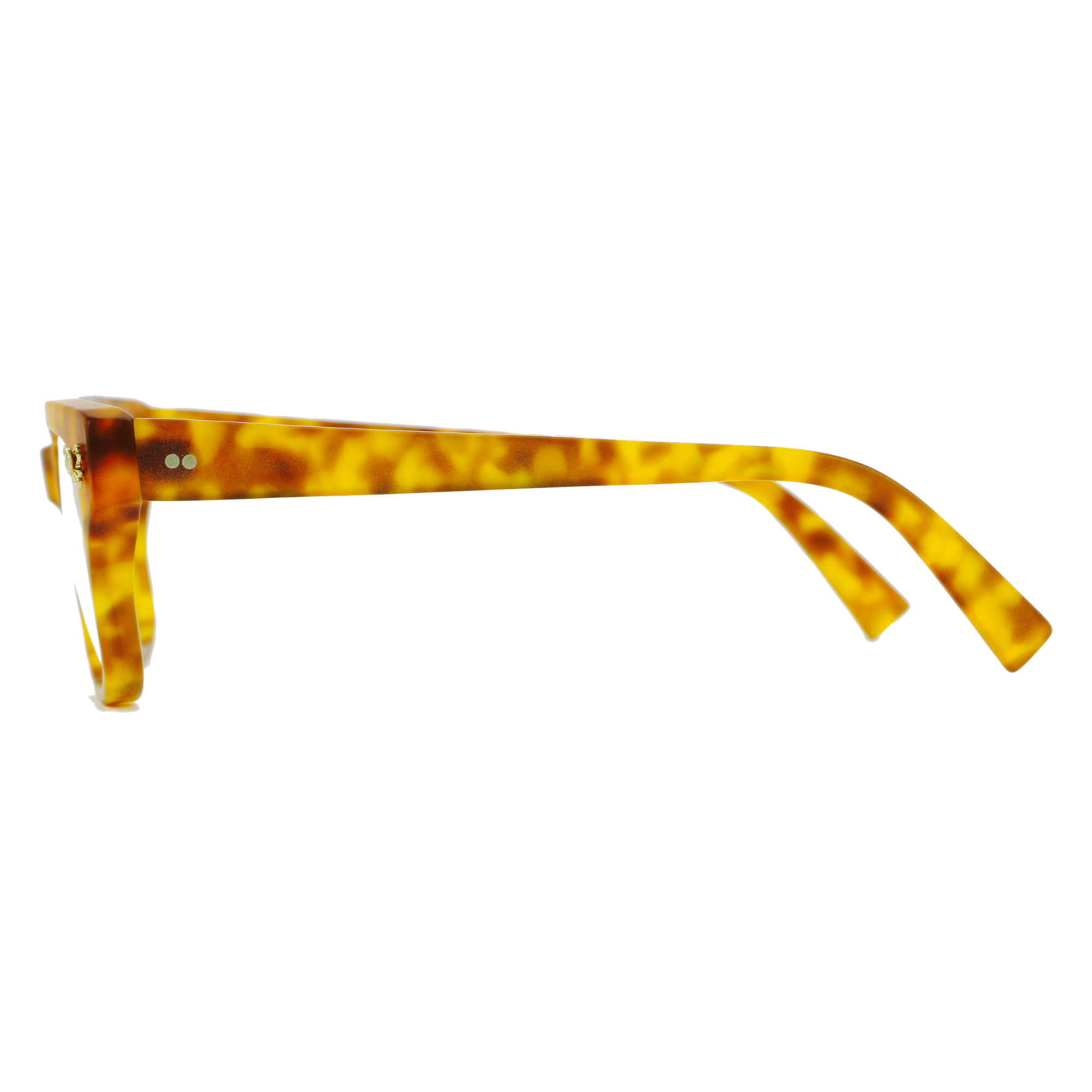 The-Optical-Co-Glasses-Carson-tort-side.png