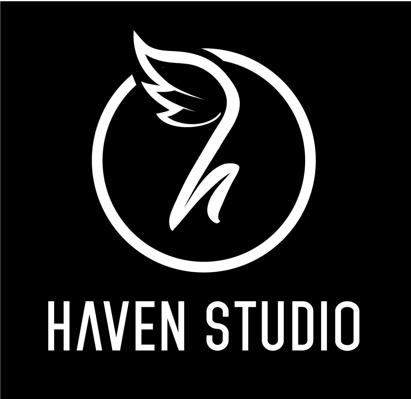 haven Black.jpg