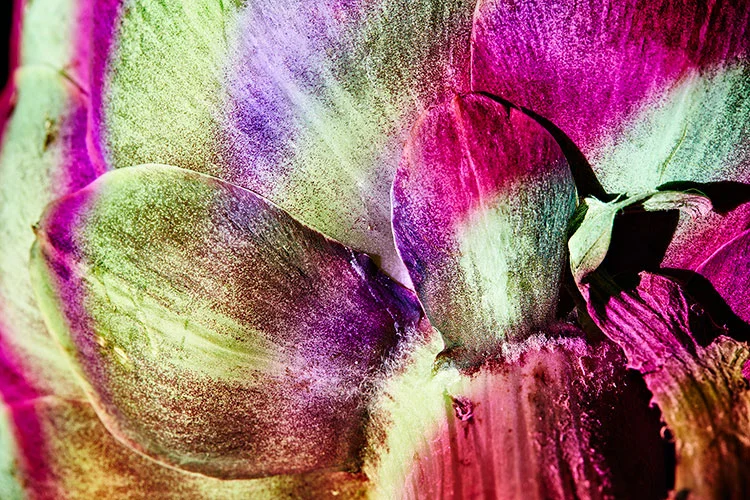 mbv_alternatelight_02.jpg