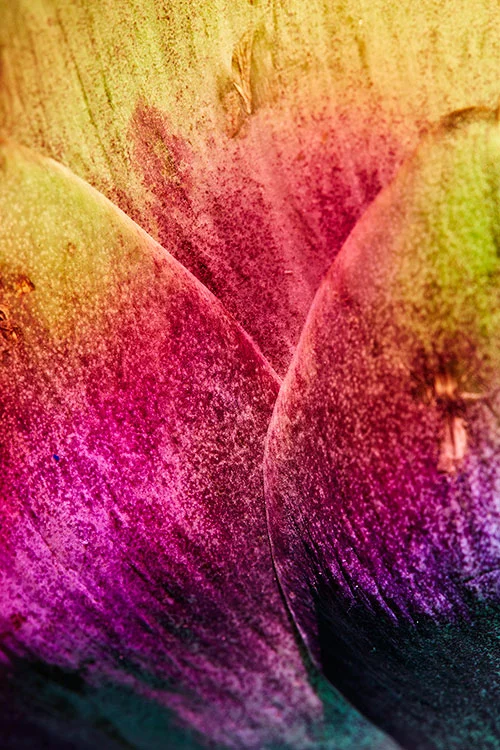 mbv_alternatelight_04.jpg