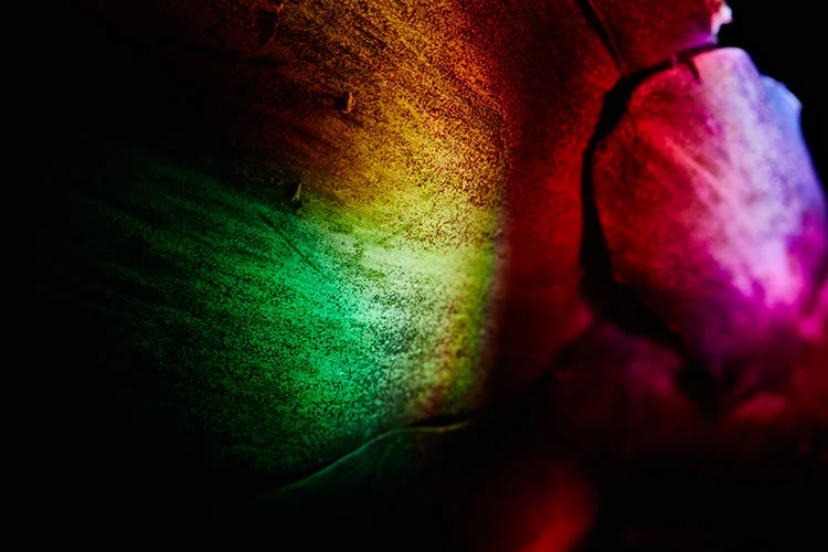 mbv_alternatelight_06.jpg