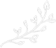 divider_twig4.png