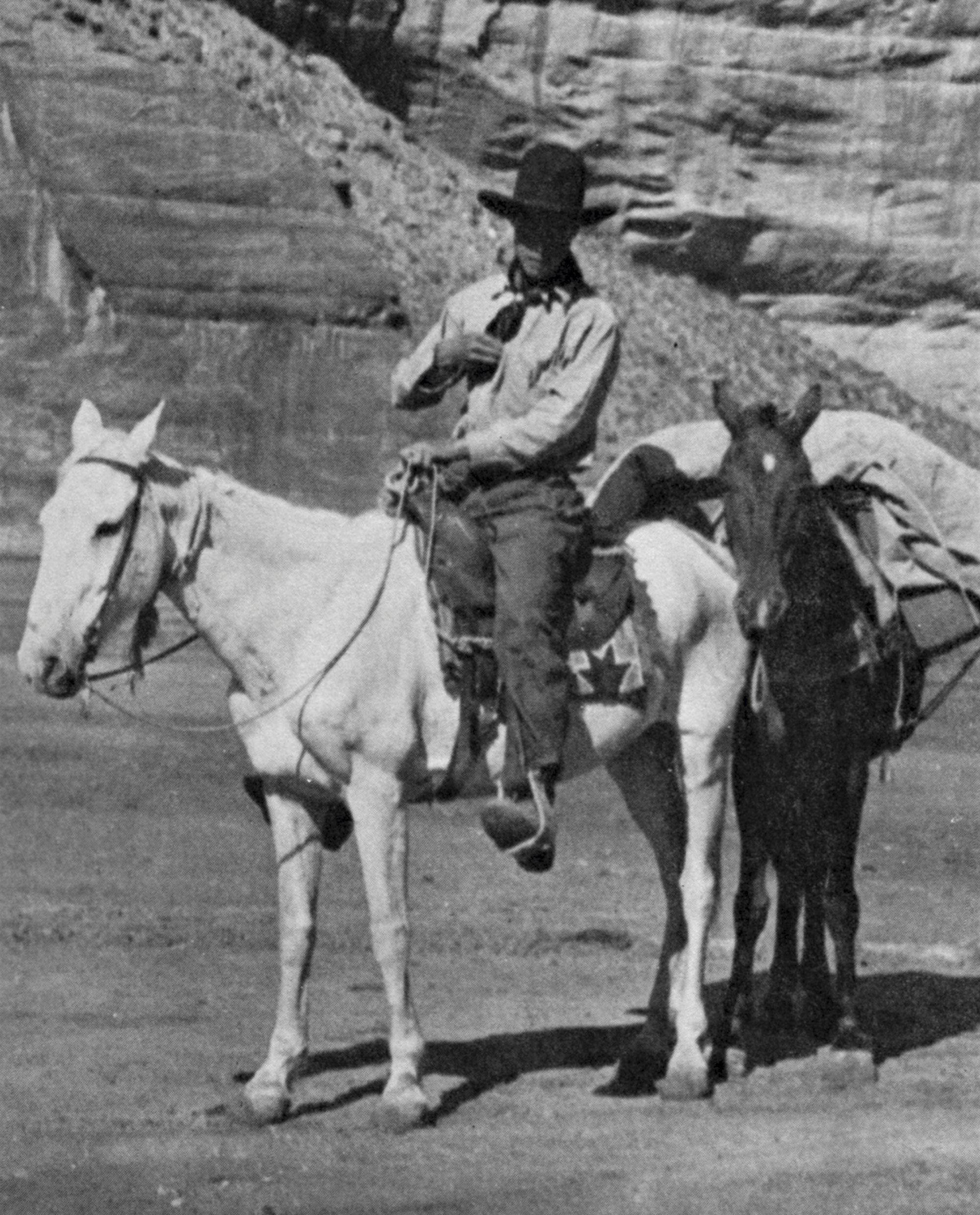 Everett and his pack animals in the desert. They were later found in a makeshift corral after he was reported missing.