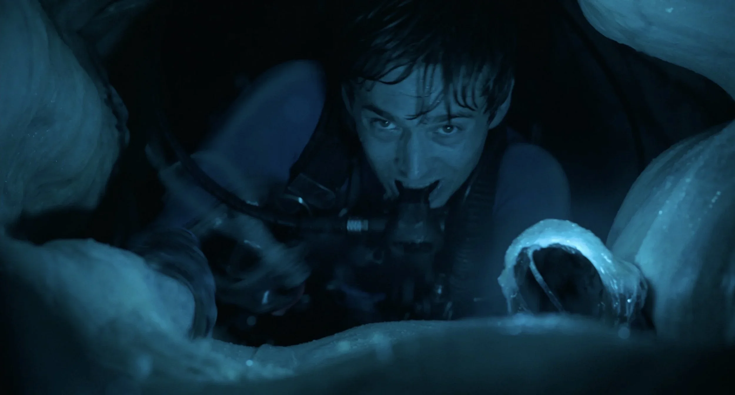 'Whalefall' Review: A Ferociously Visceral Survival Film