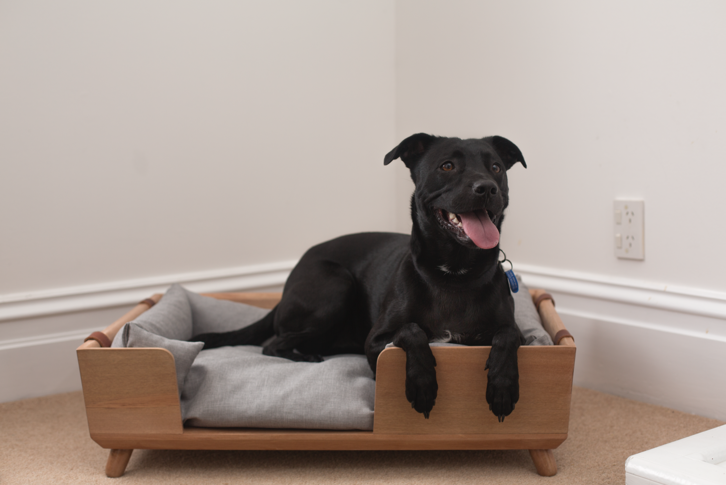 Screen Shot 2016-11-08 at 4.52.13 pm.png