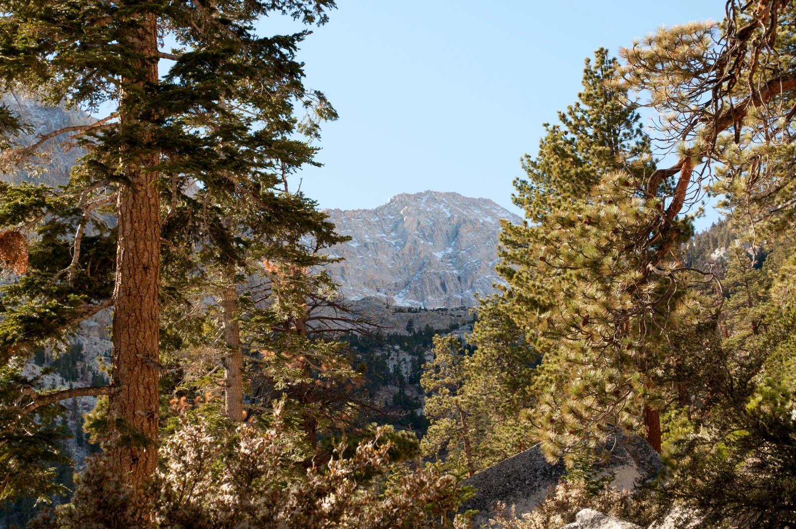 DSC_5069.jpg
