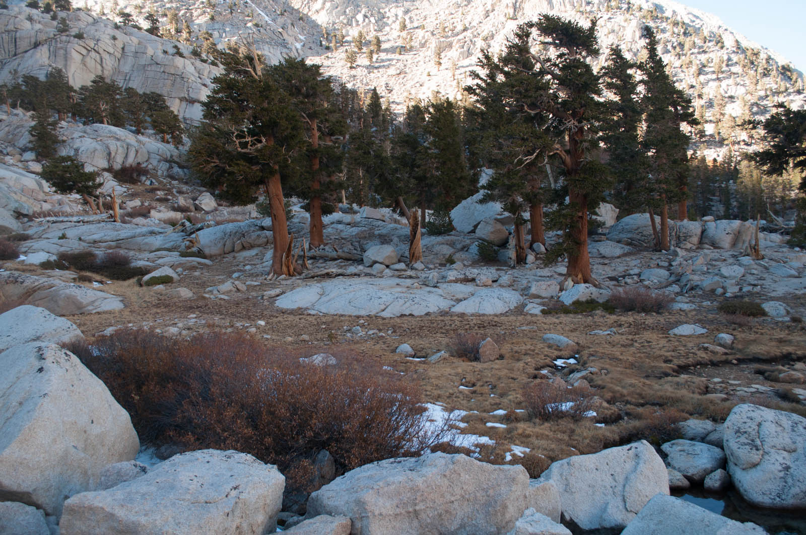 DSC_5230.jpg