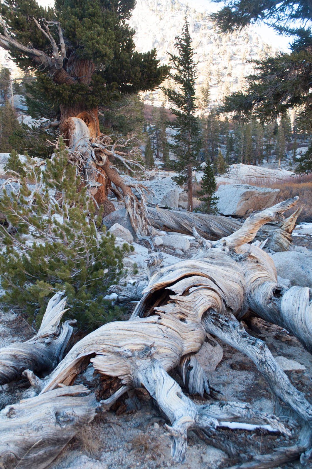 DSC_5244.jpg