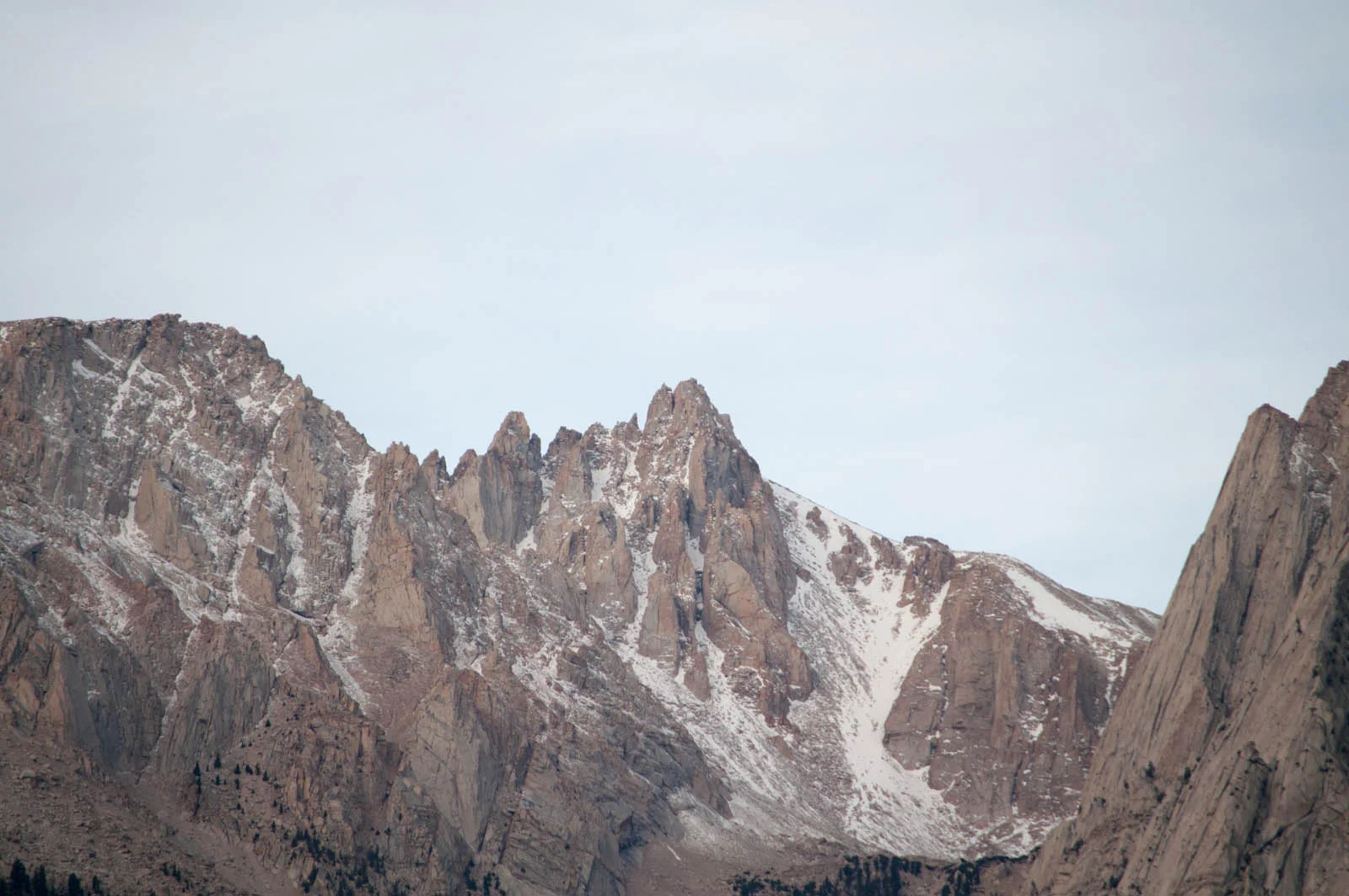 DSC_5272.jpg