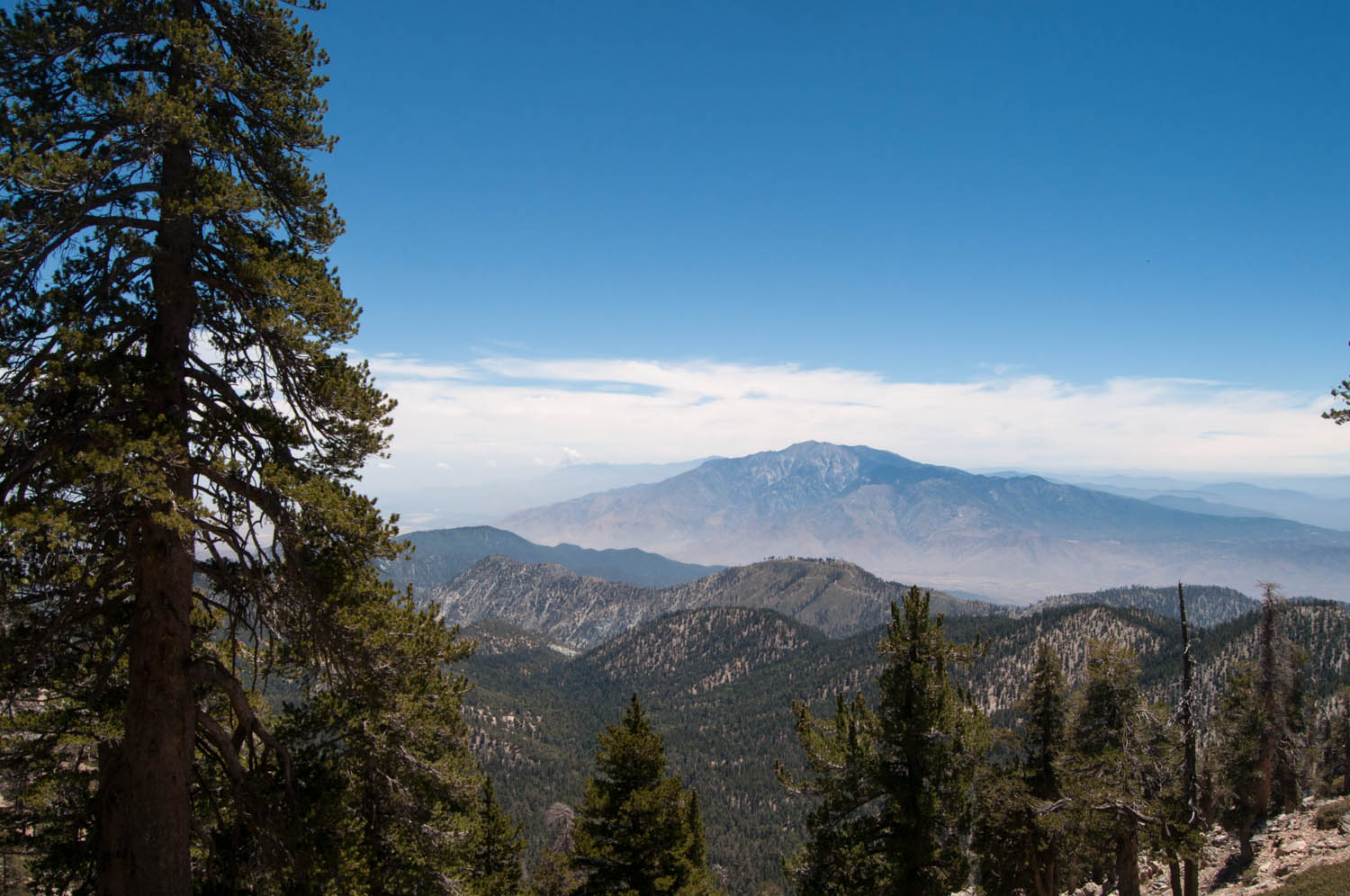 DSC_0872.jpg