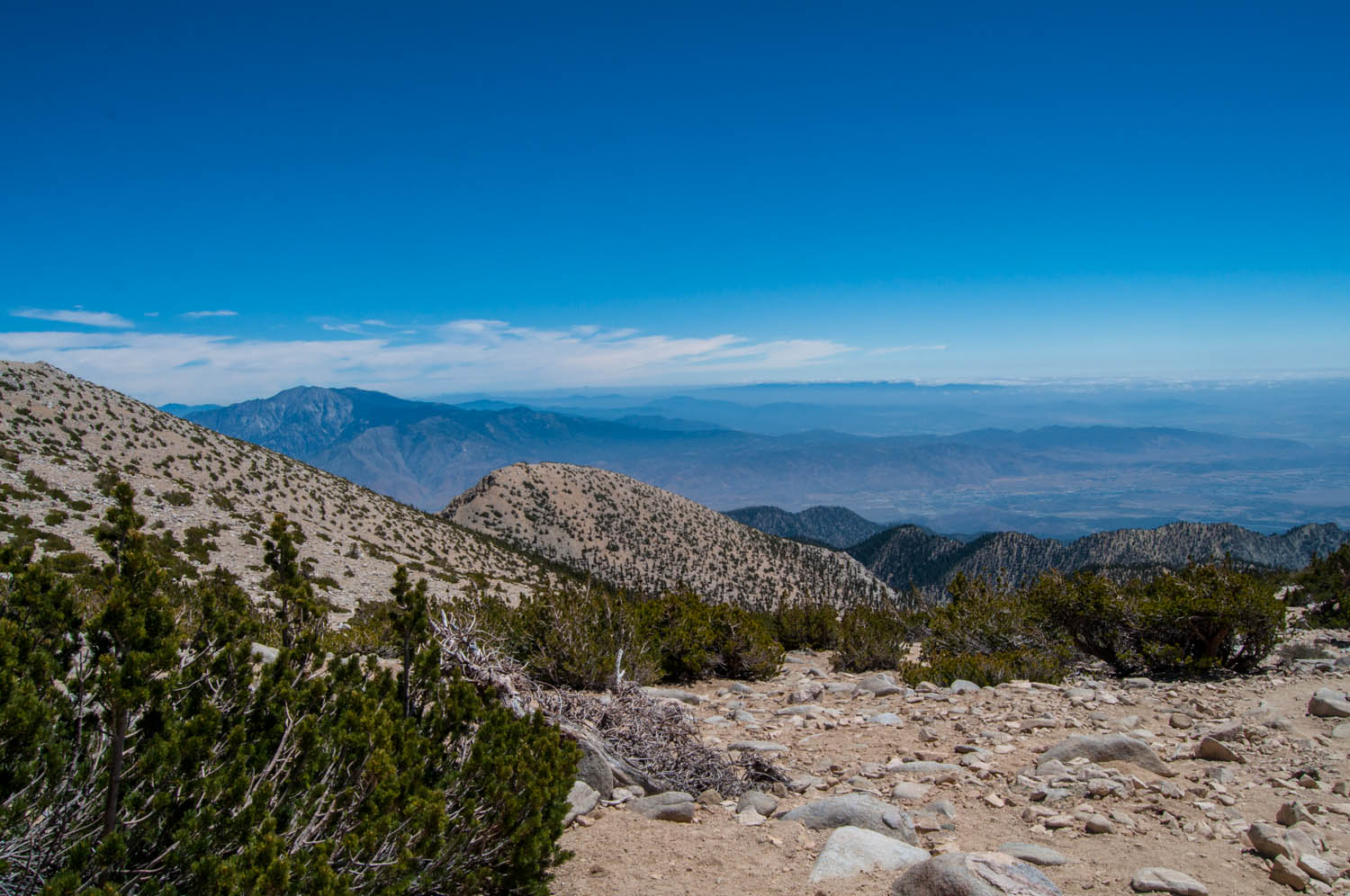 DSC_0880.jpg
