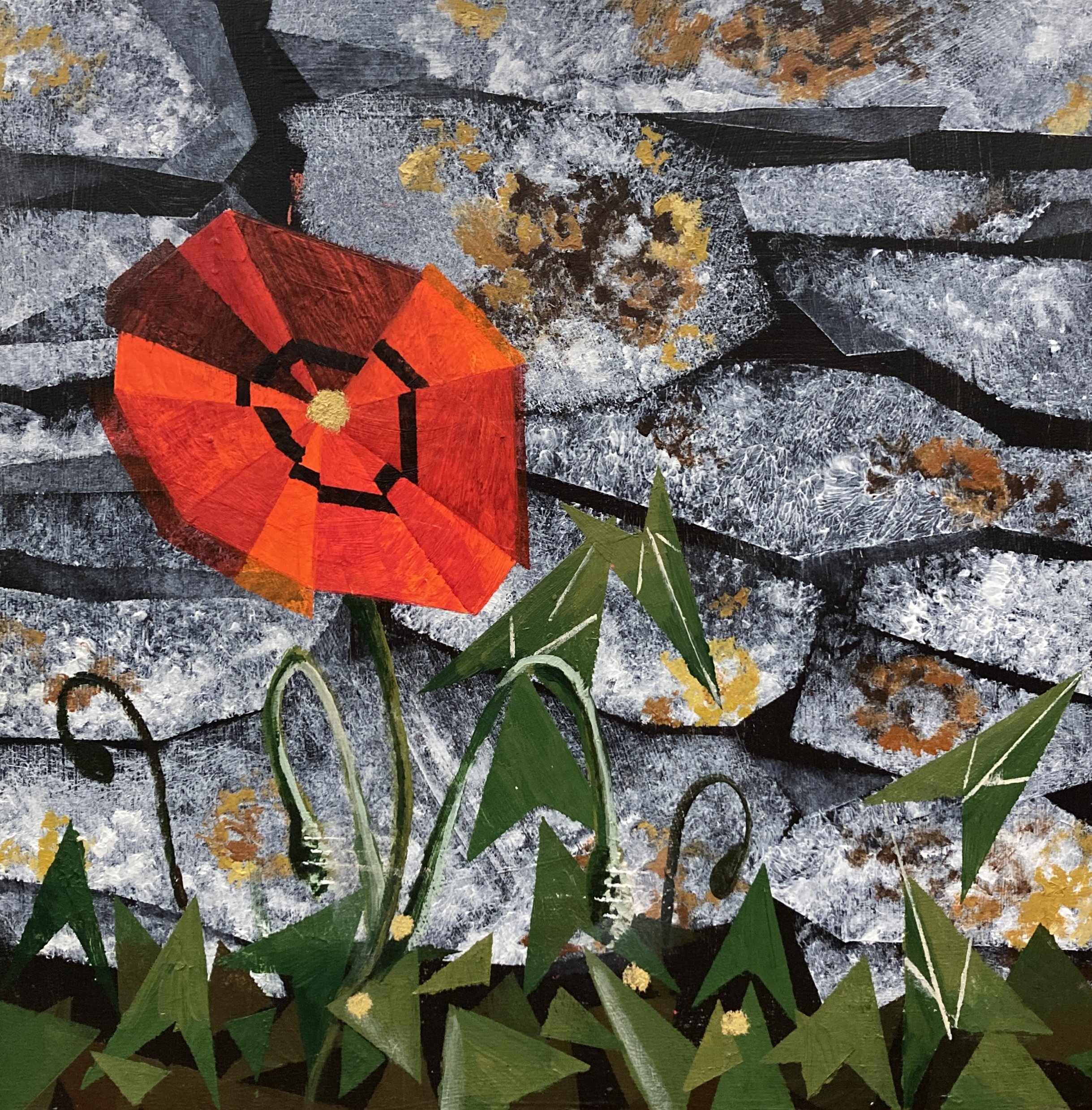 Poppy on Wall.JPG