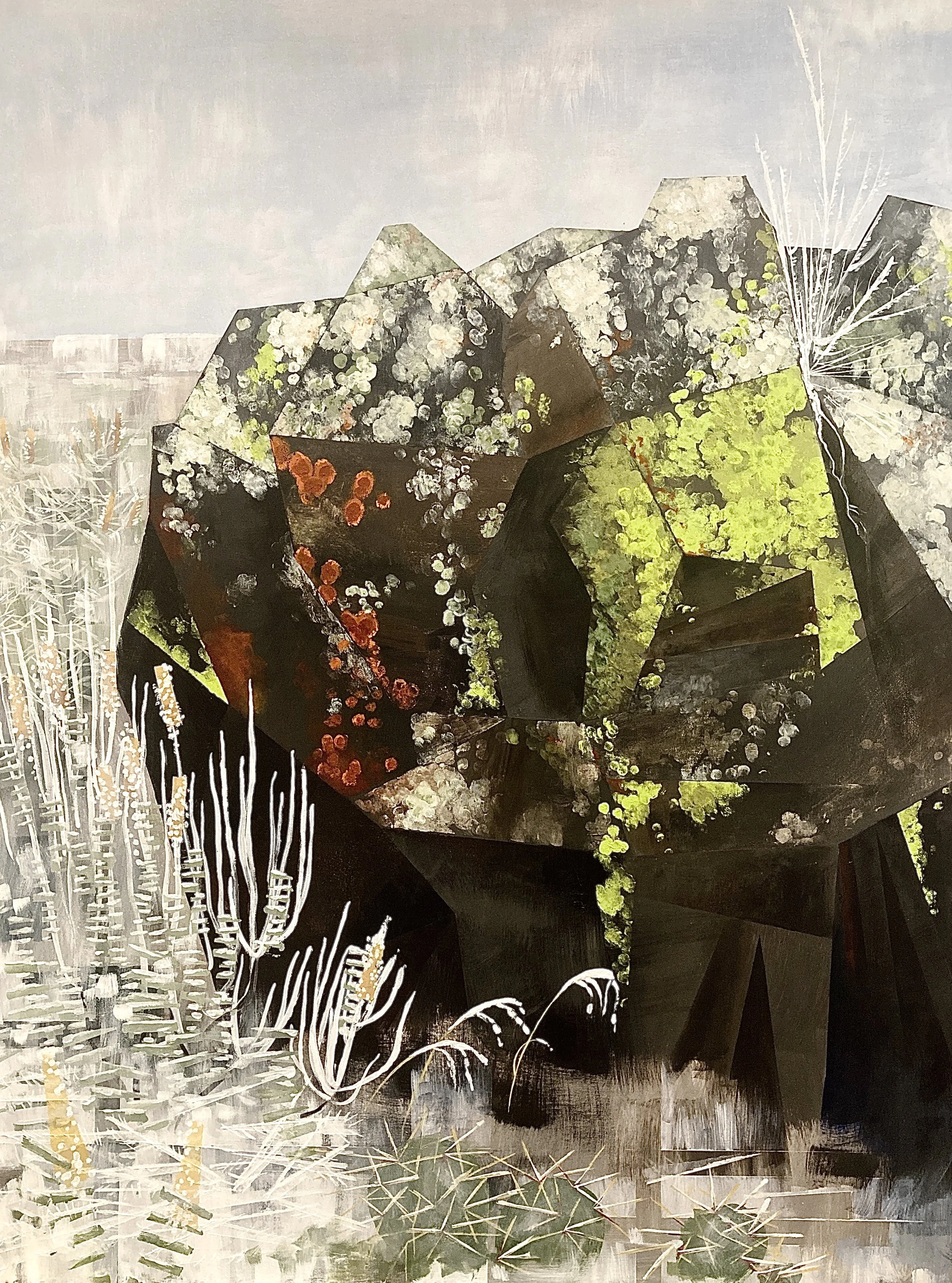 Lichen on the Moon.JPG