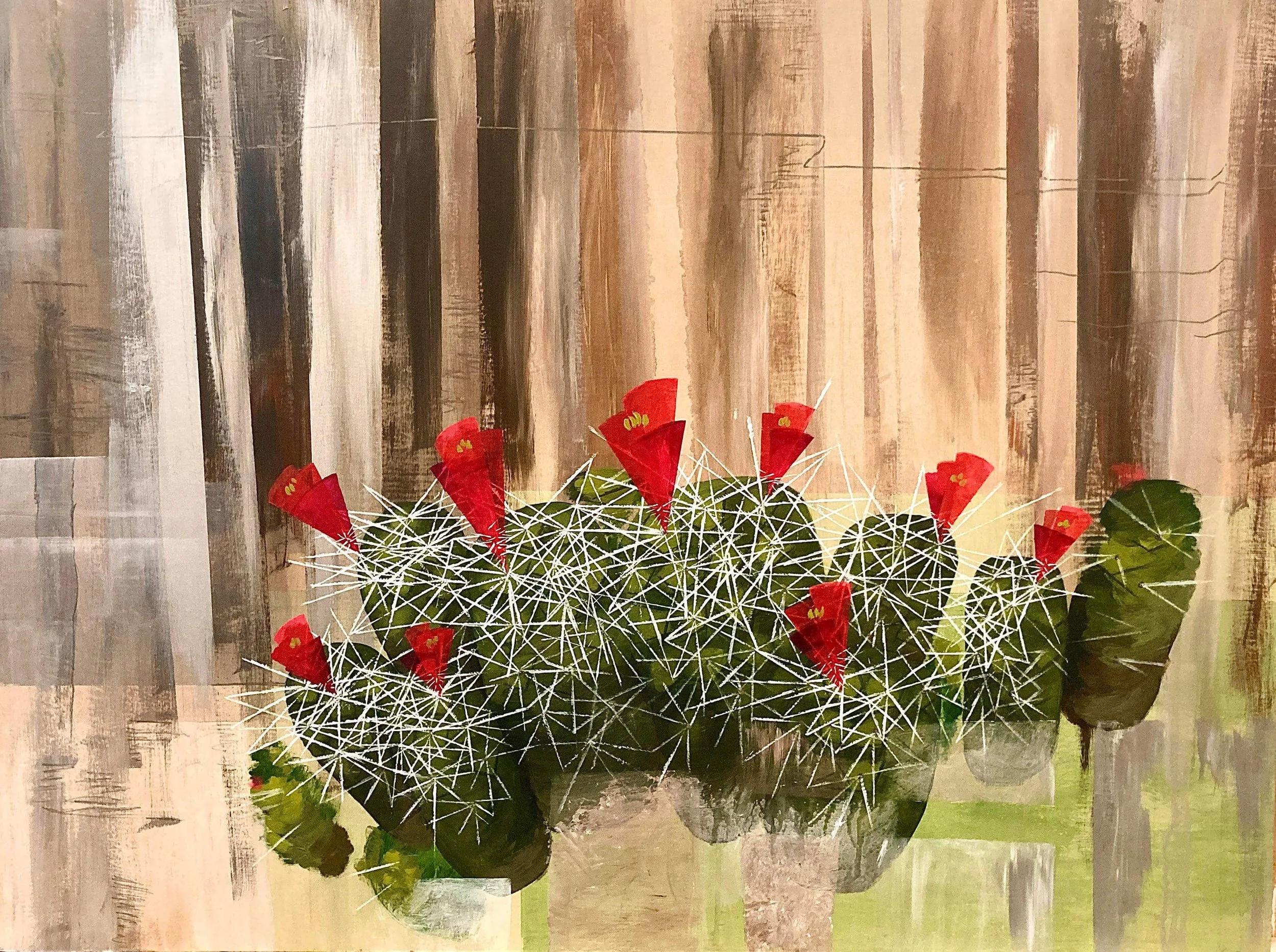 Red Cactus Bossom.JPG